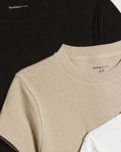 Black Multicoloured Ribbed T-Shirt Multipack