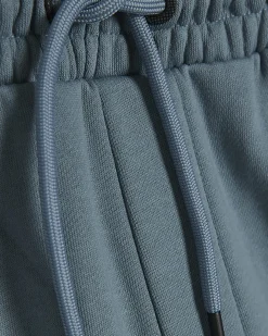 Blue Regular Fit Shorts