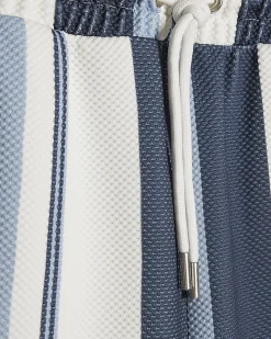 Blue Regular Fit Textured Stripe Shorts