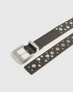 Brown Studded Belt